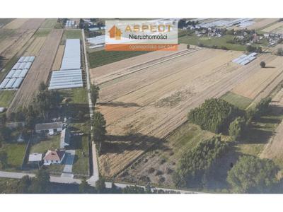 Działka na sprzedaż 17 600,00 m², oferta nr WLS-GS-46970