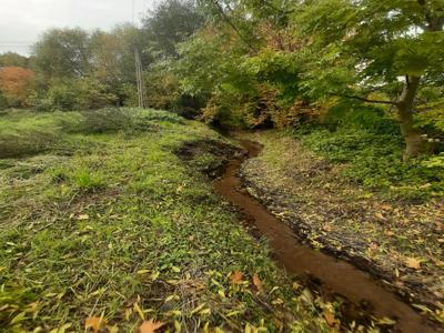 Zielona Góra, Drzonków, DRZONKÓW-STRUMYKOWA