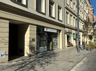 Poznań, Centrum