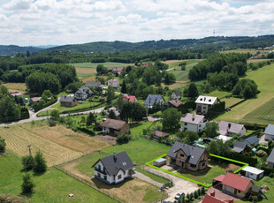 Tarnowski, Tarnów, Błonie