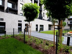 Apartament, ul. Czarnucha