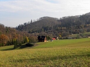 Działka 2800m² w pięknej okolicy Srebrnej Góry cisza spokój Okazja