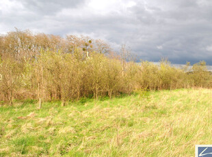 Gryfiński, Stare Czarnowo, Binowo