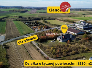 Krakowski, Skała, Cianowice Duże, Krakowska