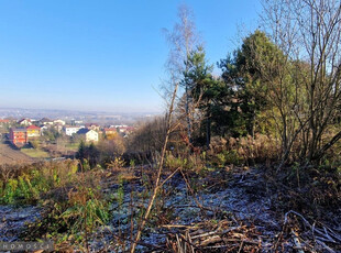 Krakowski, Zabierzów