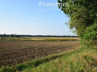 Opolski, Niemodlin, Zamkowa