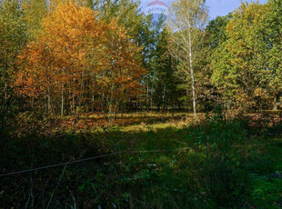 Żyrardowski (Pow.), Puszcza Mariańska (Gm.), Puszcza Mariańska, Akacjowa