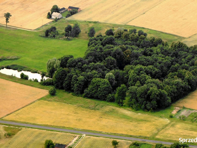 Działka budowlana/ Park dworski