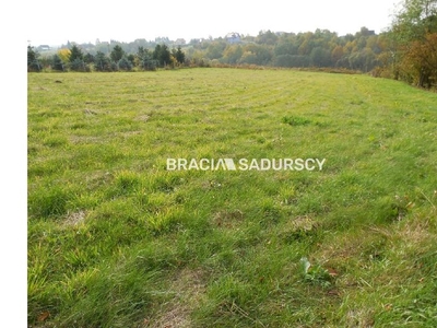 Działka na sprzedaż 6 800,00 m², oferta nr BS2-GS-290661-285