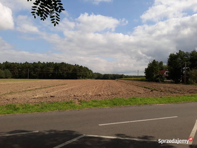 Działka rolna Glinno Kolonia 1,0ha blisko Jeziorsko