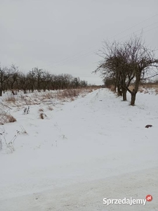 Dzialka rolno budowlana Szydlow