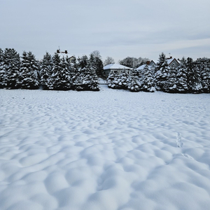 Tarnowski, Tarnów, Tarnowiec