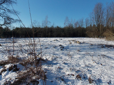 Żyrardowski, Mszczonów, Budy-Strzyże