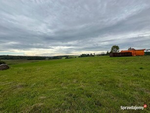 Syndyk sprzeda prawo własności nieruchomości