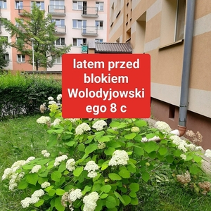 Białystok wynajmę mieszkanie 2-pokojowe z oddzielną kuchnia, CENTRUM
