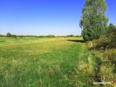 Działka, 11ar, Nienadówka, gm. Sokołów Małopolski