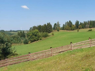 Działka budowlana niedaleko jeziora Hańcza