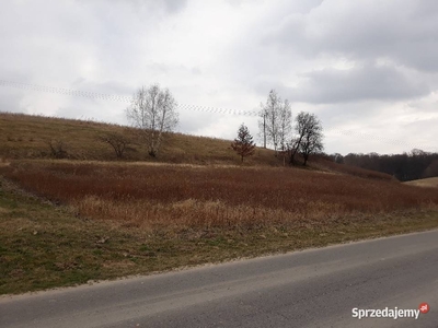 Działka budowlana przy drodze asfaltowej w Celejowie