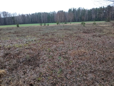 Działka budowlana z warunkami zabudowy ponad 3028m2 CissePow sierpecki