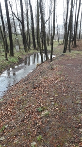 Działka leśna. Teren rekreacyjny