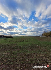 Działka na sprzedaż