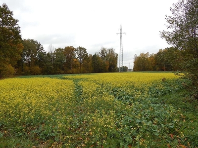 Działka przemysłowa Nadrybie-Wieś