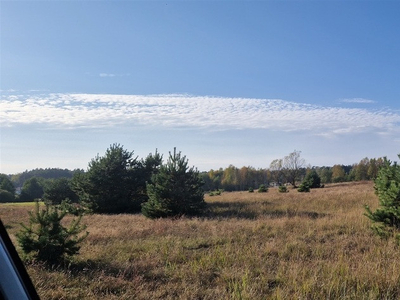 Nakielski, Szubin, Drogosław