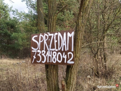 Sprzedam działkę w Jakubowicach nad Wisłą