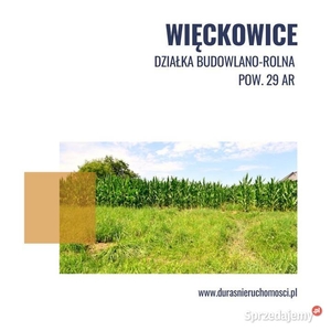 Więckowice gm. Wojnicz działka na sprzedaż 29 ar