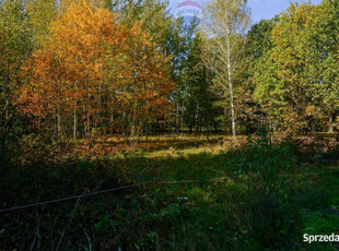 Działka budowlana 1300m2, Puszcza Mariańska