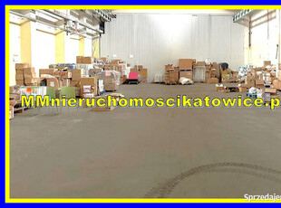 Oferta wynajmu lokalu Katowice 410m2