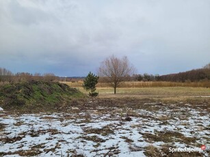 Sprzedam- działka budowlana z projektem w Parski.