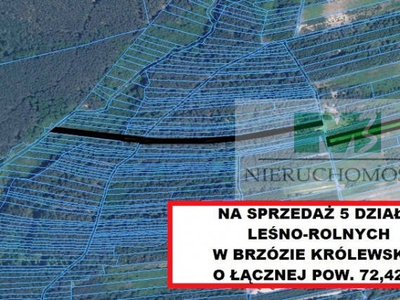 DO SPRZEDAŻY DZIAŁKI LEŚNO-ROLNE BRZÓZA KROLEWSKA