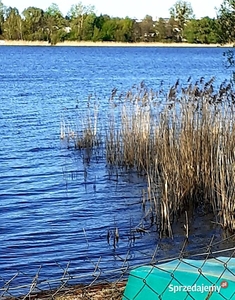 Działka nad jeziorem z linią brzegową