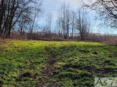 Działka rolna Tomaszowice