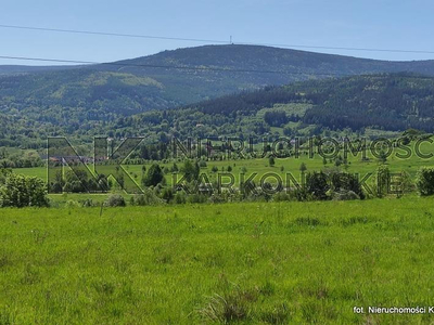 Lubański (pow.), Świeradów-Zdrój