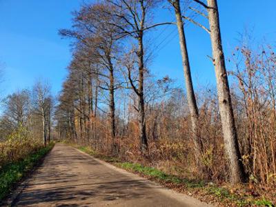 Działka budowlana, ul. Kącka