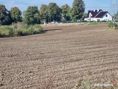 Syndyk sprzeda nieruchomość rolną