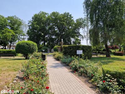 3 pokoje, ładny widok na park, blisko jezioro