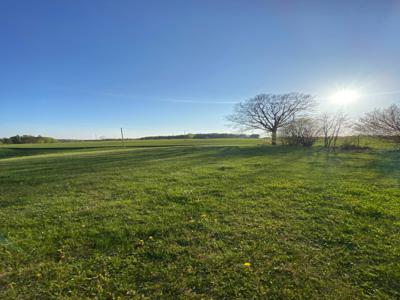 Urokliwa działka 3111m2 z widokiem na panoramę