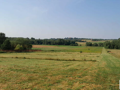 Atrakcyjne działki budowlane Koziel gm. Raków