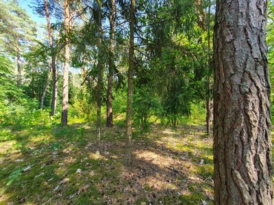 Działka budowlana Emów gm. Wiązowna