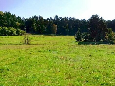 Działka budowlana Marzysz gm. Daleszyce Marzysz Drugi,