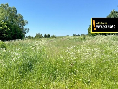 Działka budowlana Rembów gm. Raków,