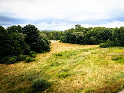 Działka inna Prusinowice