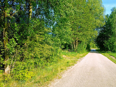 Działka inwestycyjna Adamowa Góra gm. Młodzieszyn,