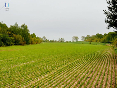 Działka inwestycyjna Tuszyn, Niedas Trzciniec