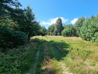 Działka leśna Kuźnica Żerechowska