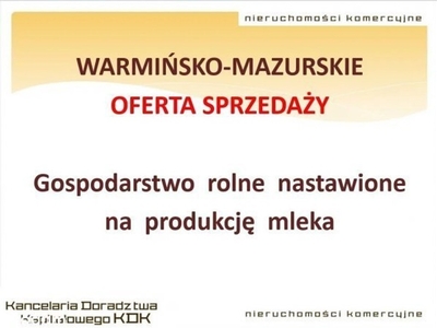 Działka rolna Zgoda