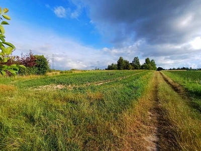 Działka w pobliżu lotniska Jasionka